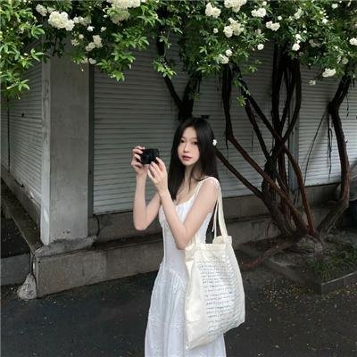 白鹭